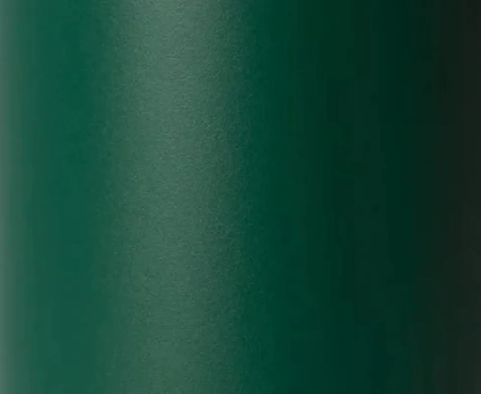 Simple Modern 30 fl oz Insulated Stainless Steel Trek Tumbler with Straw Lid | Deep Forest